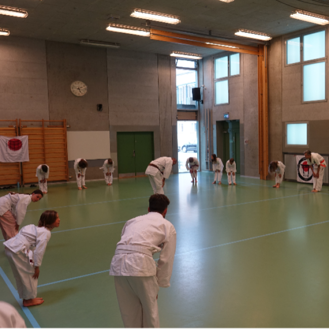 Karate fra 8 år og op - Begynder - Torsdage tryout image