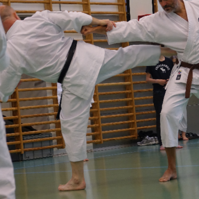 Karate fra 8 år og op - Begynder - Tirsdage tryout image