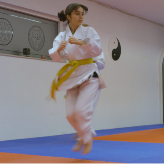 Karate Voksne tryout image