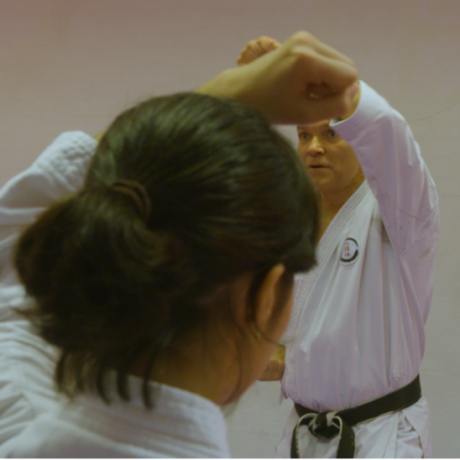 Karate Voksne tryout image
