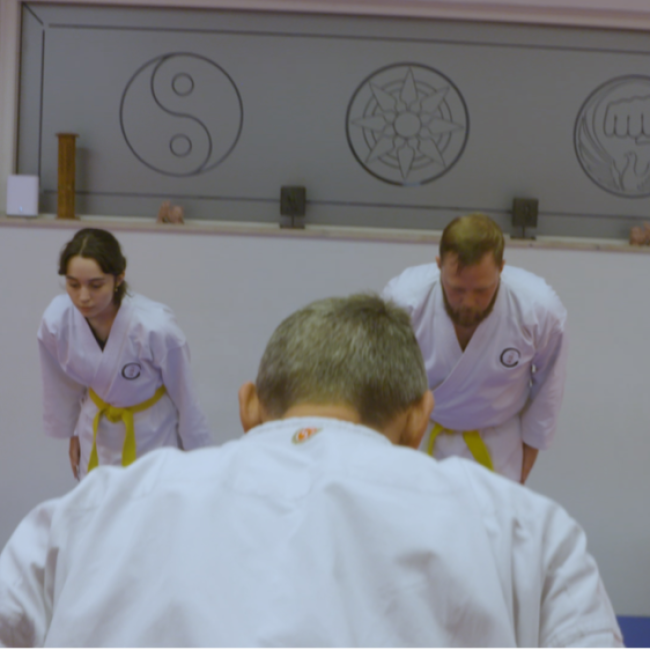 Karate Voksne tryout image