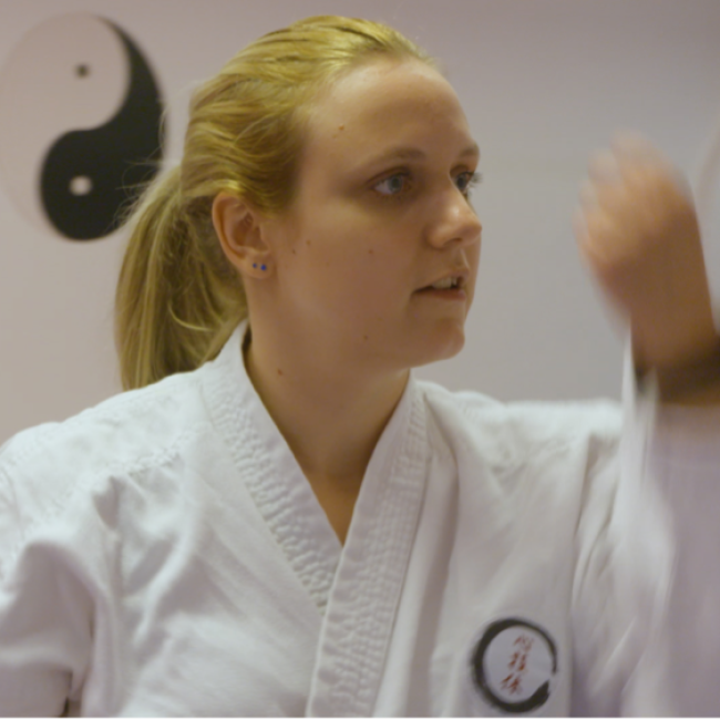 Karate Voksne tryout image