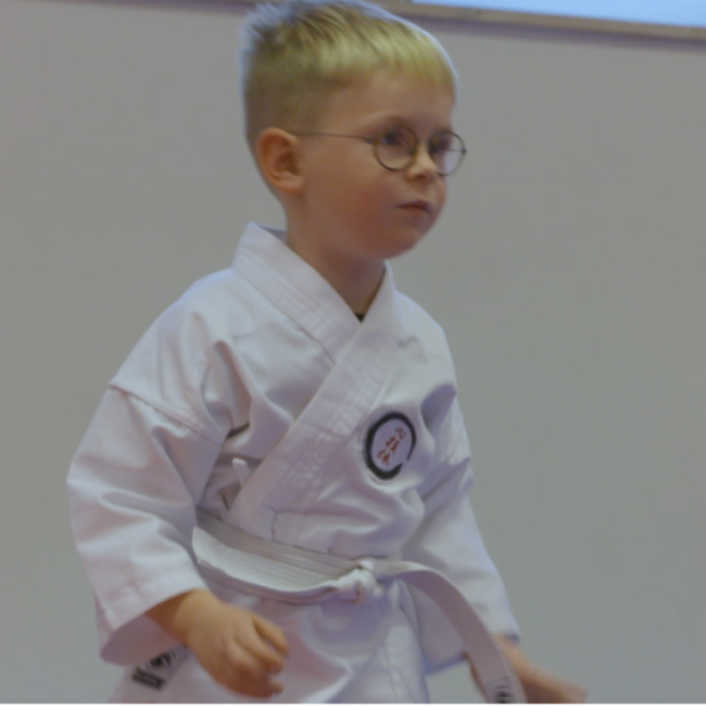 Karate Ninjas (5-6 år) tryout image