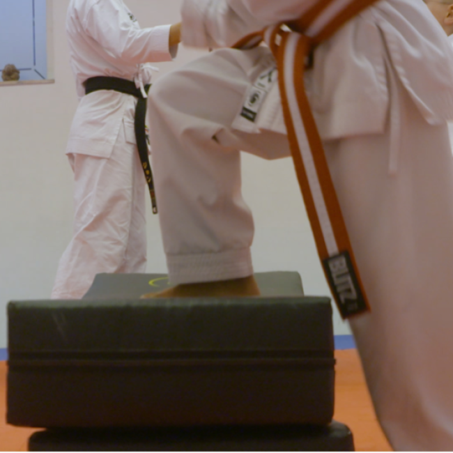 Karate Ninjas (5-6 år) tryout image