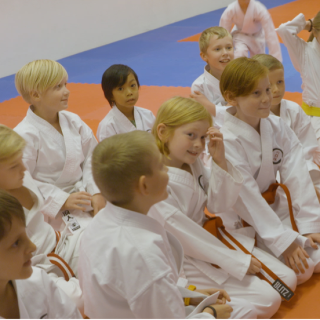 Karate Kids (7-9 år) tryout image
