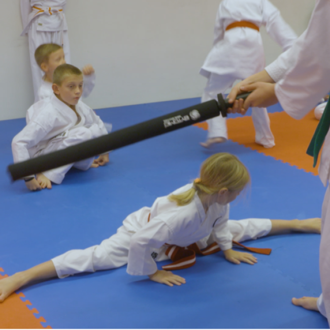 Karate Kids (7-9 år) tryout image