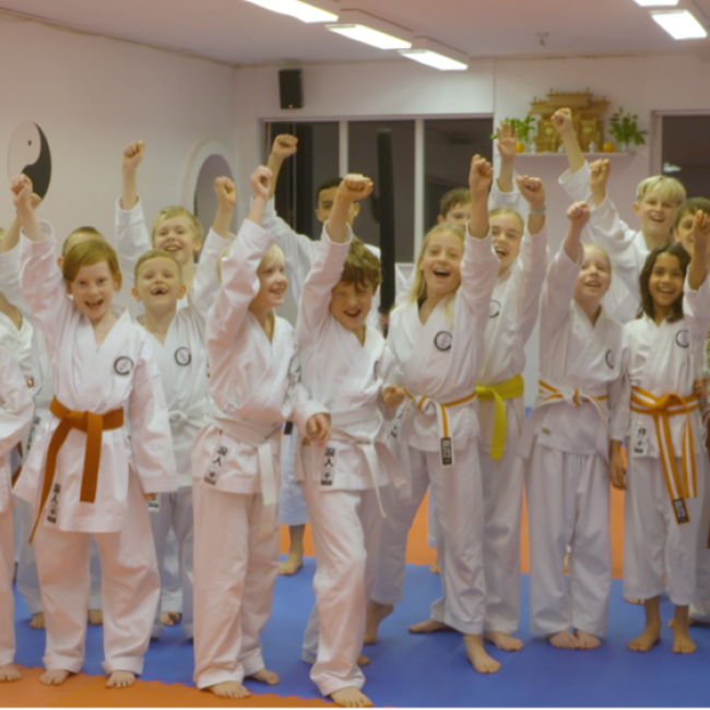 Karate Kids (7-9 år) tryout image