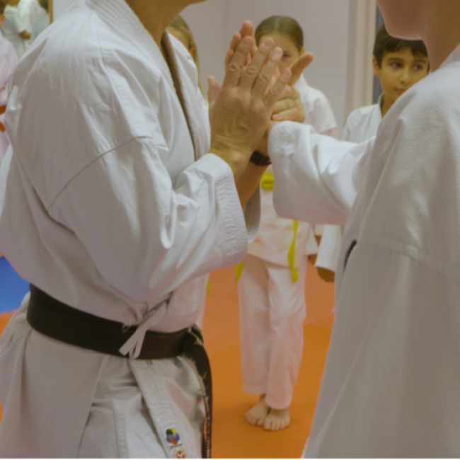 Karate Teens (10-14 år) tryout image
