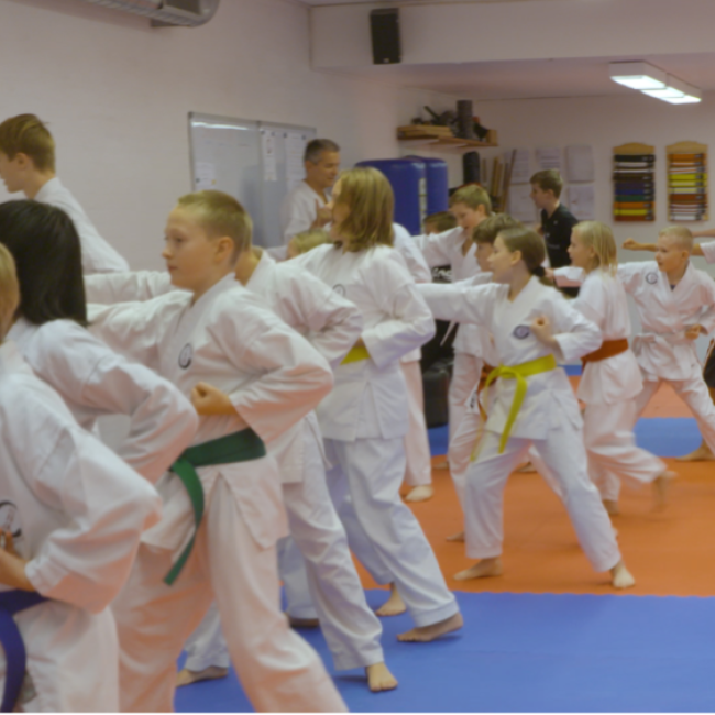 Karate Teens (10-14 år) tryout image