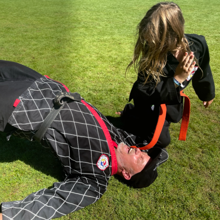 Shinson Hapkido begyndertræning tryout image
