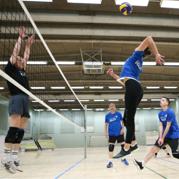 Mix-volleyball for Voksne (40-60 år) tryout image