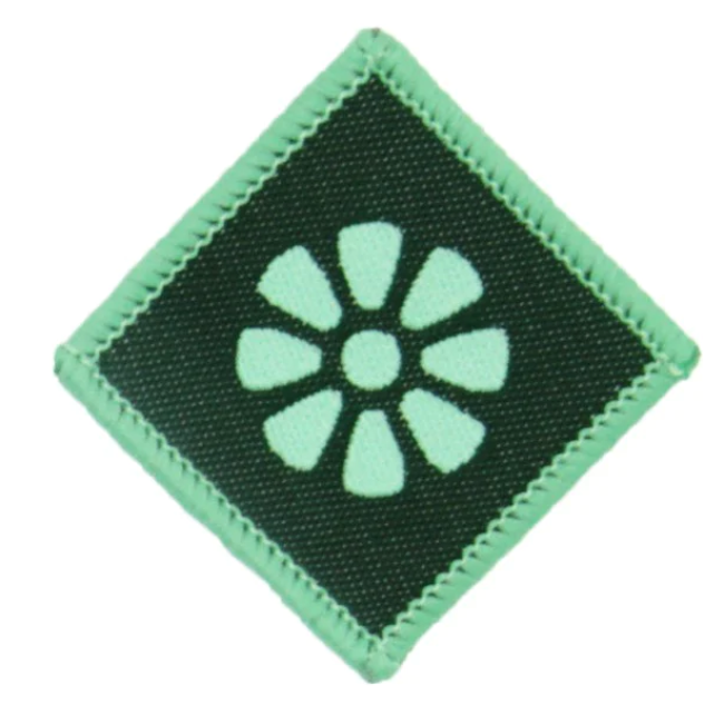 Trop (9-10. klasse) tryout image