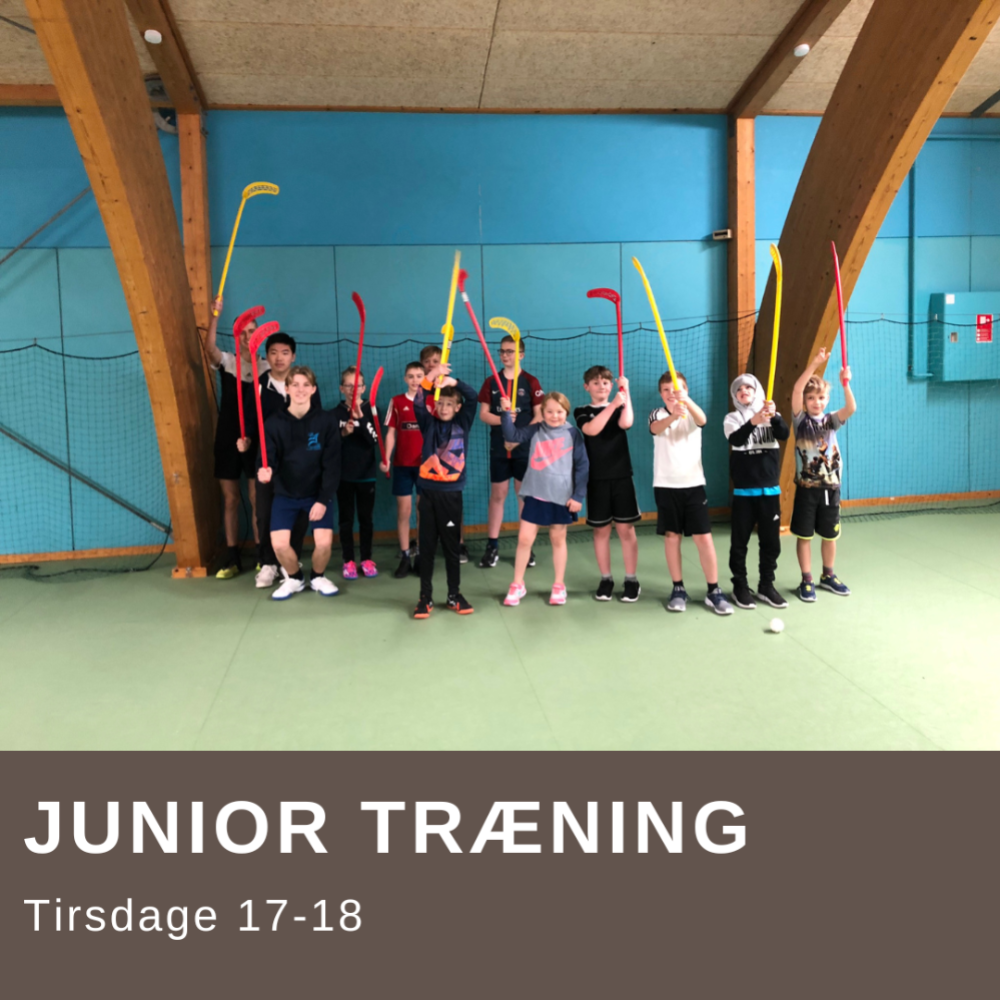 Juniortræning Tirsdag tryout image