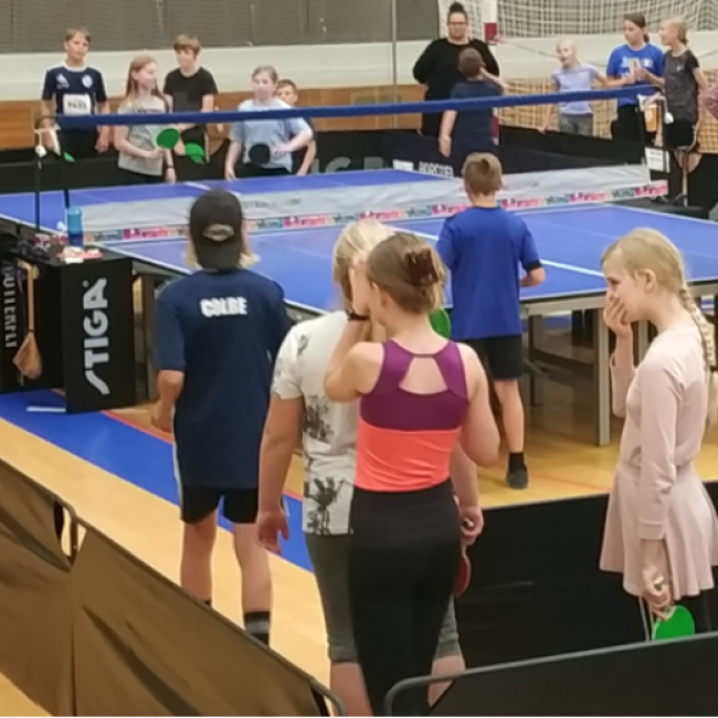 Bordtennis nye (over 11 år) tryout image