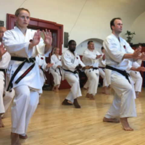 karate-for-nybegyndere-voksne-fra-14-ar-1656501064