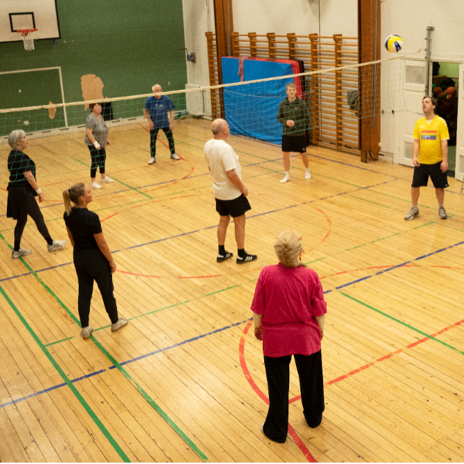 Motionsgymnastik og Volley tryout image