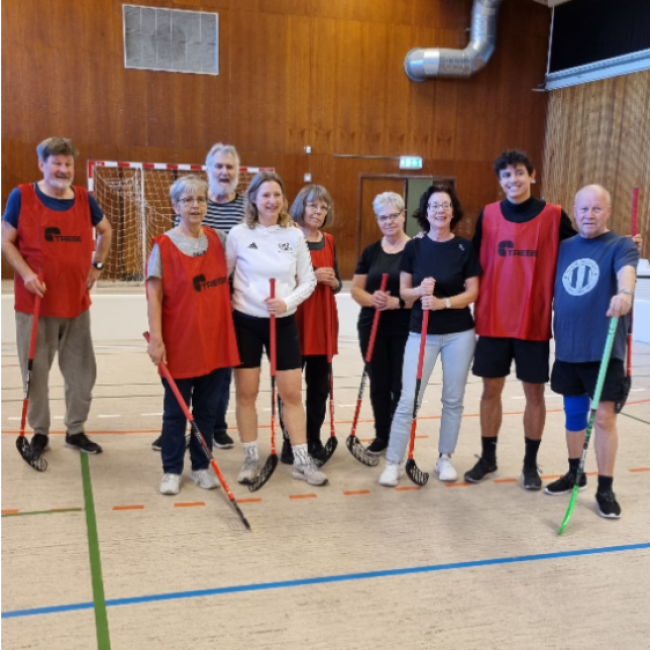 Motionsfloorball for voksne og seniorer tryout image