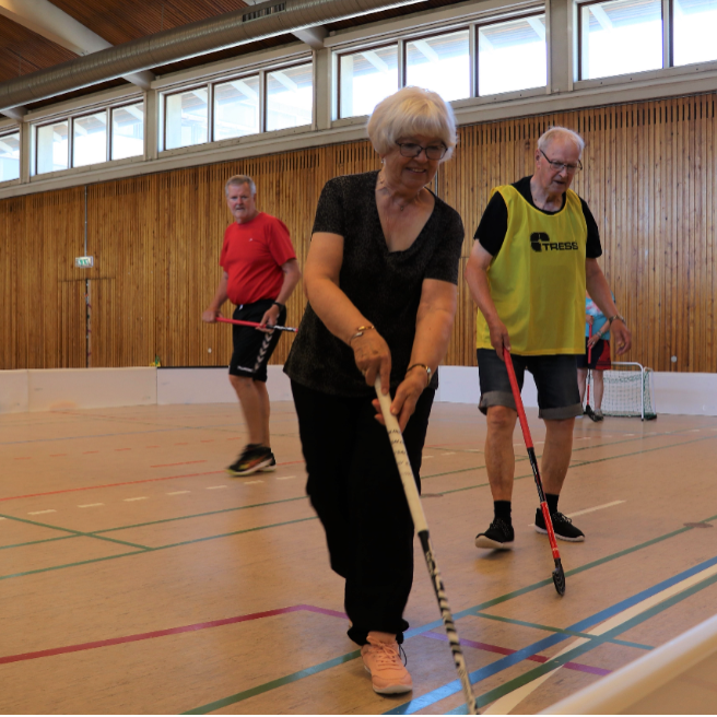 Motionsfloorball for voksne og seniorer tryout image