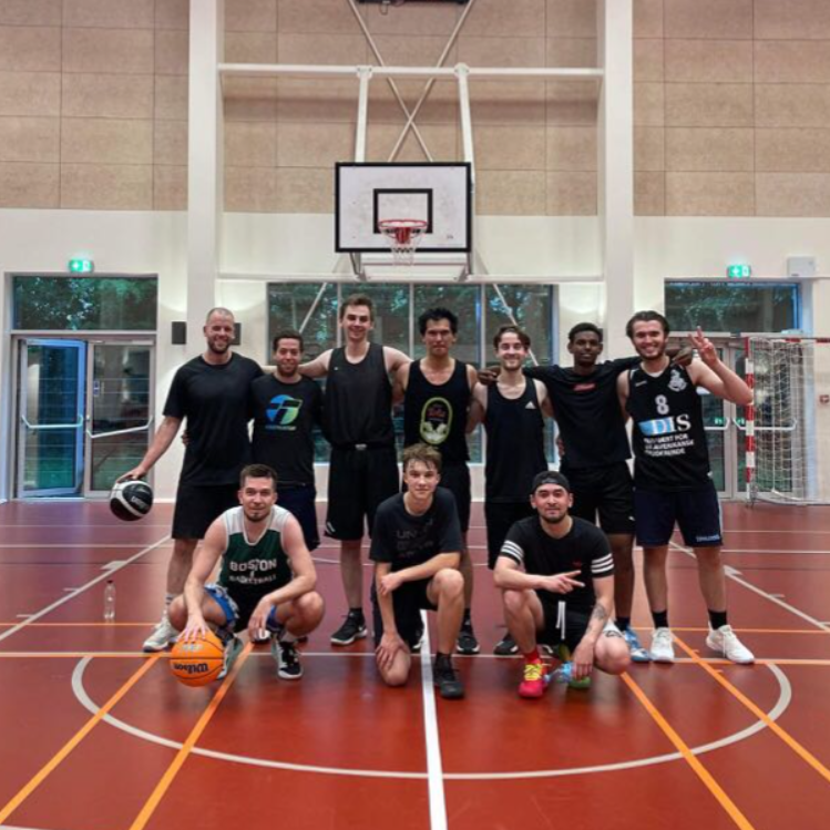 Nordvest Mens Team 2 (Intermediate+Advanced) tryout image
