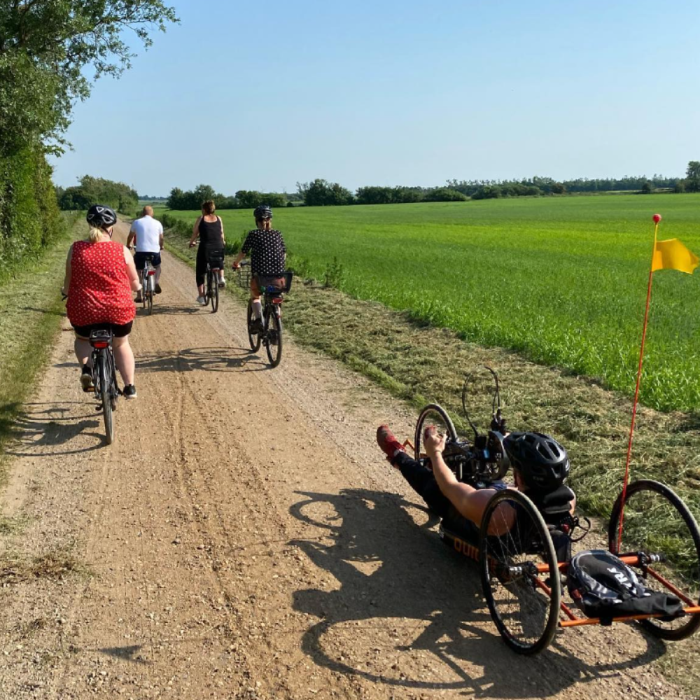 Paraidræt hvor alle med/uden handicap kan deltage  tryout image