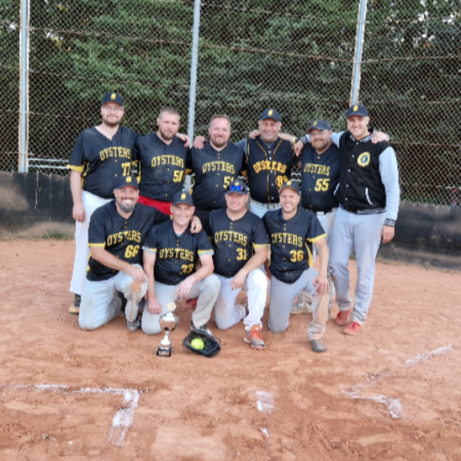 Indendørs træning - Senior fastpitch tryout image