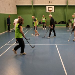 Senior floorball