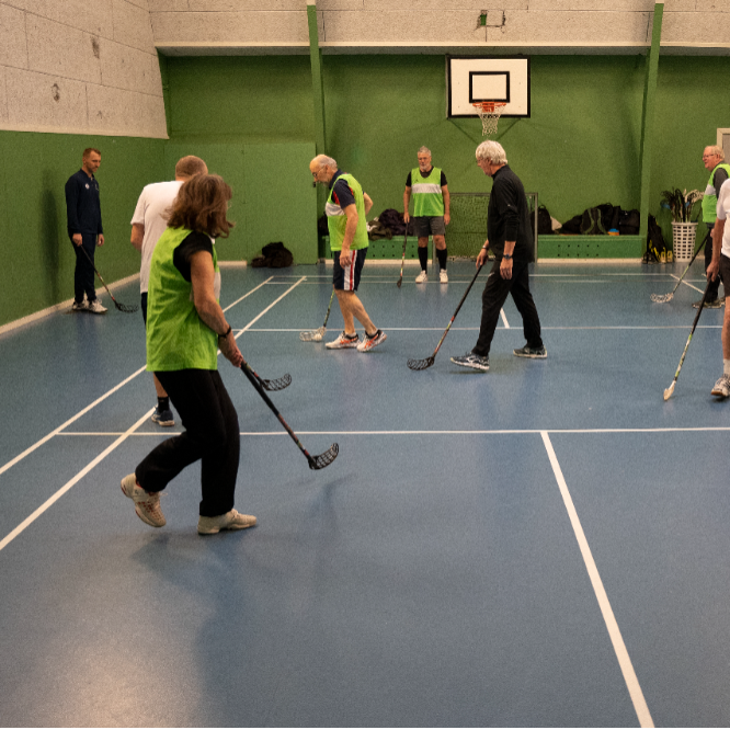 Senior floorball tryout image