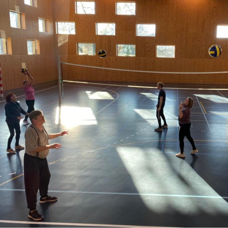 Volleyball for voksne og seniorer tryout image