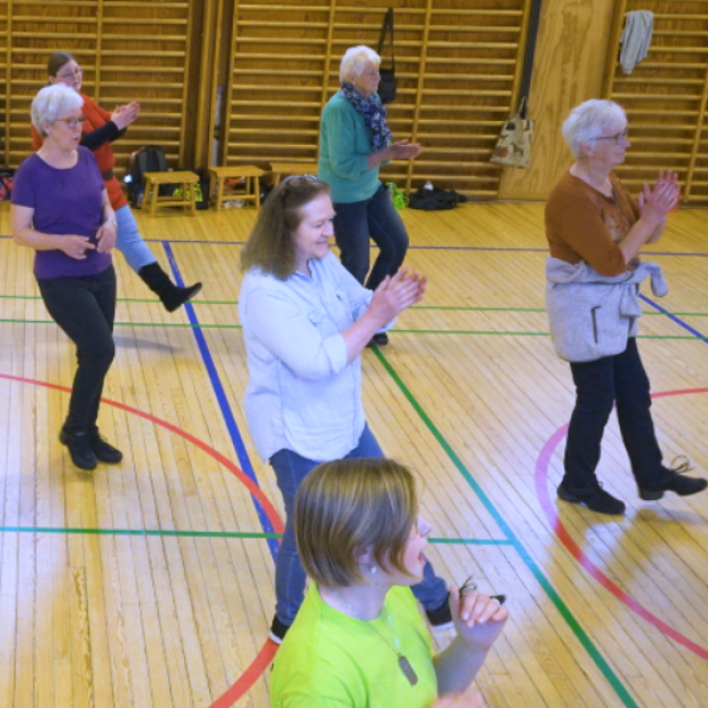 Begynderhold Linedance tryout image