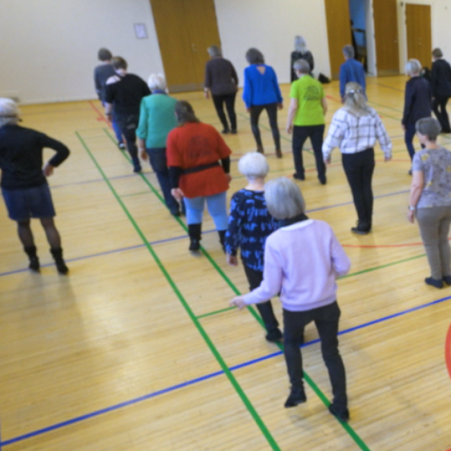 Letøvet hold Linedance tryout image