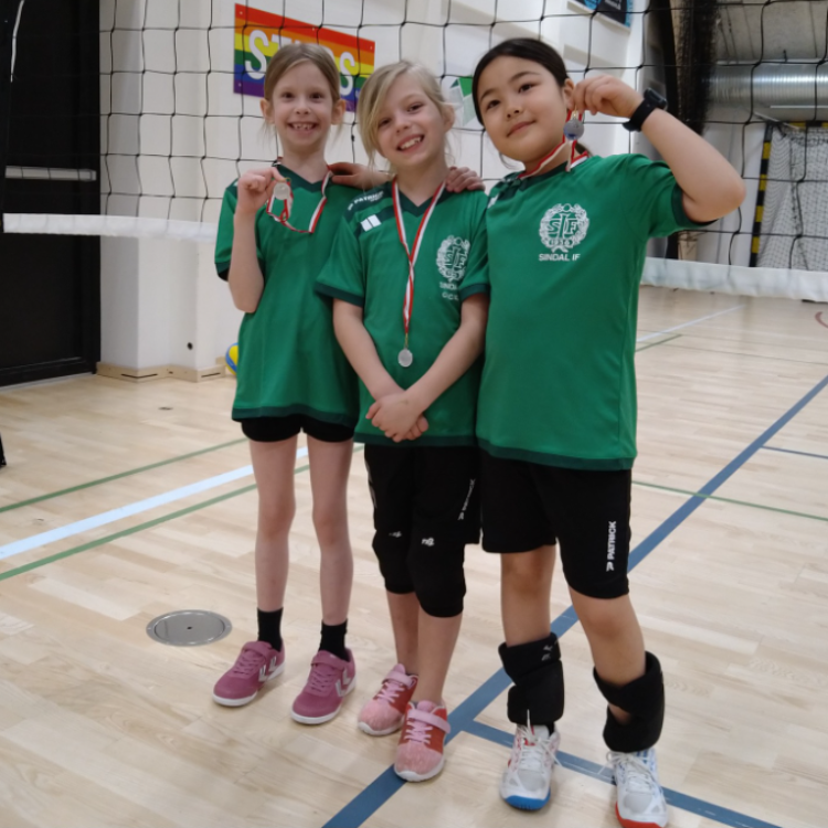 kids-Volleyball for 0. - 2. klasse tryout image
