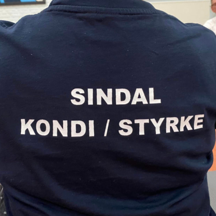 Kondi/Styrke tryout image