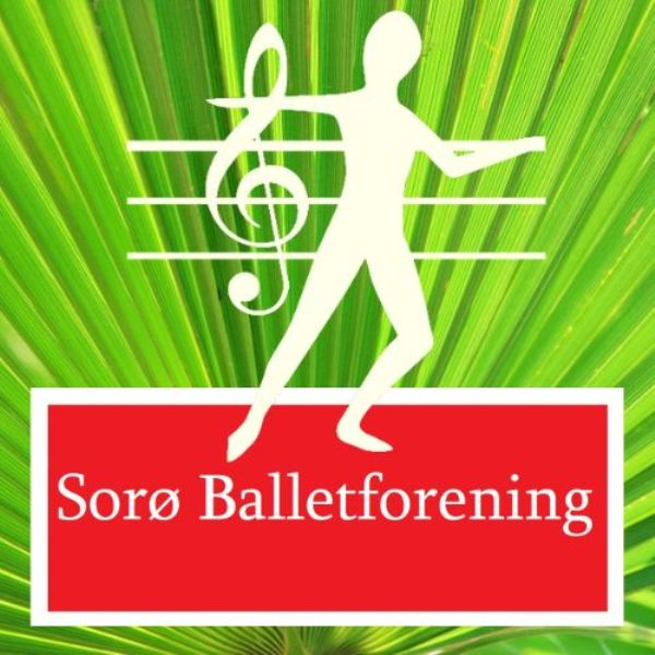 Dansesalen Fr.berg Sorø: Barretræning + ballet tryout image