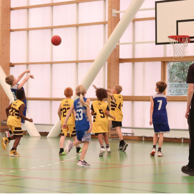 Basketball for børn årgang 2017-2018 på Østerbro tryout image