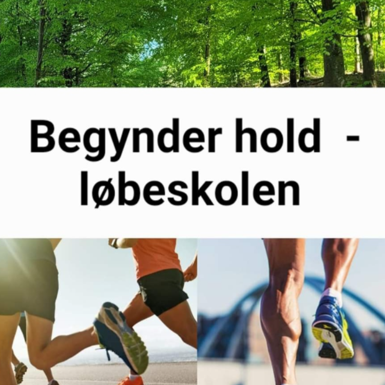Introduktion og første træning til begynder hold - tryout image