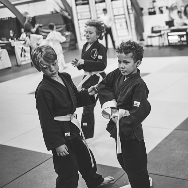 Judo for begyndere (Børn 7-13 år) tryout image