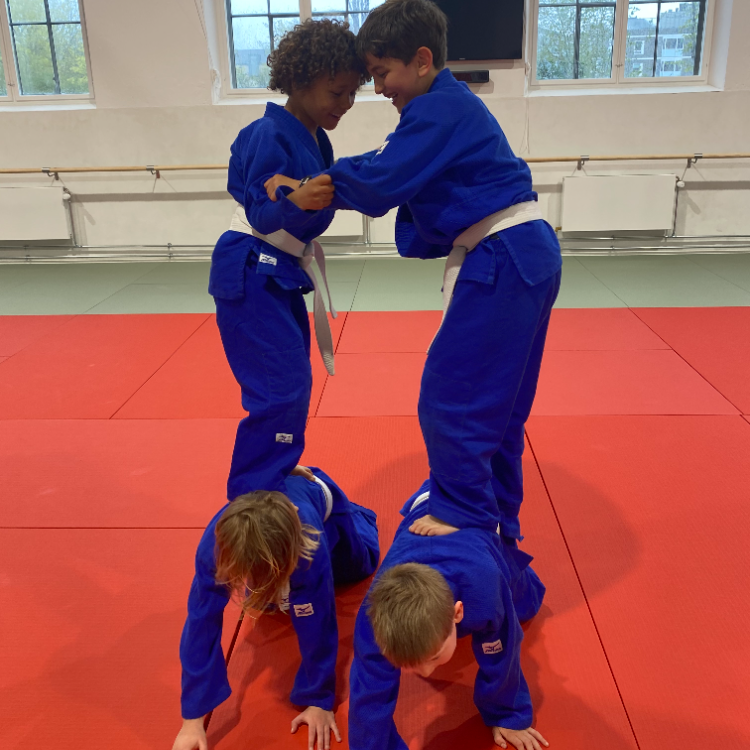 Judo for små børn (3-6 år) tryout image