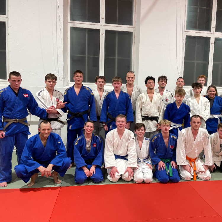 Judo for Junior og Voksne (13+ år) tryout image