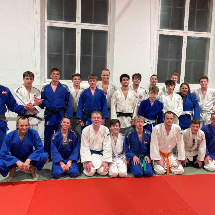 Judo for Junior og Voksne (13+ år) tryout image