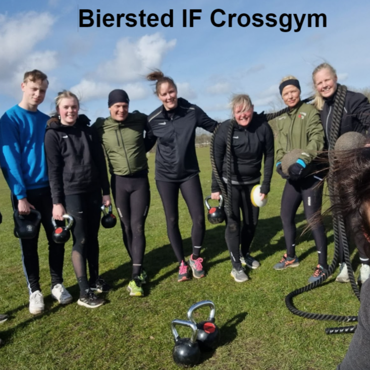 Crossgym tryout image