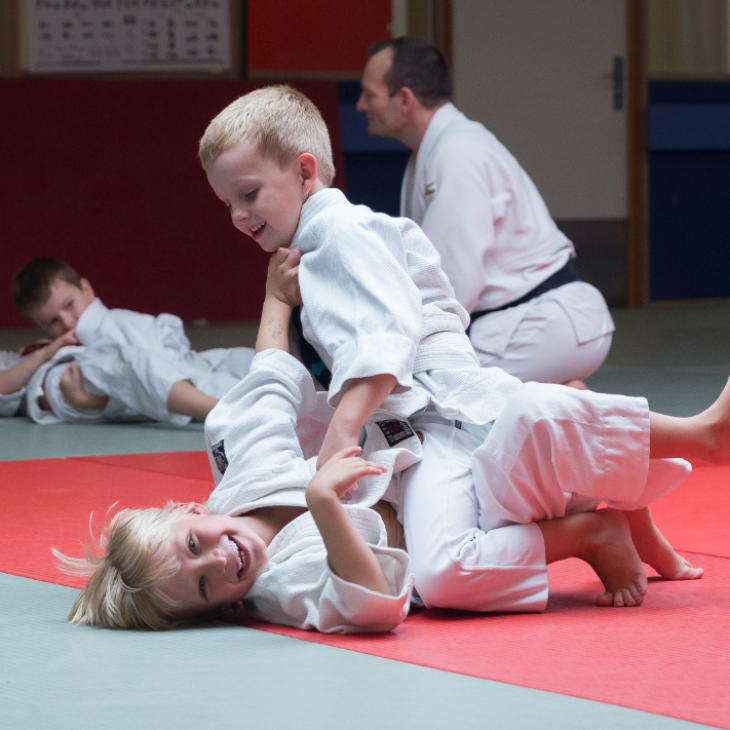 Børnehold - Minijudo tryout image
