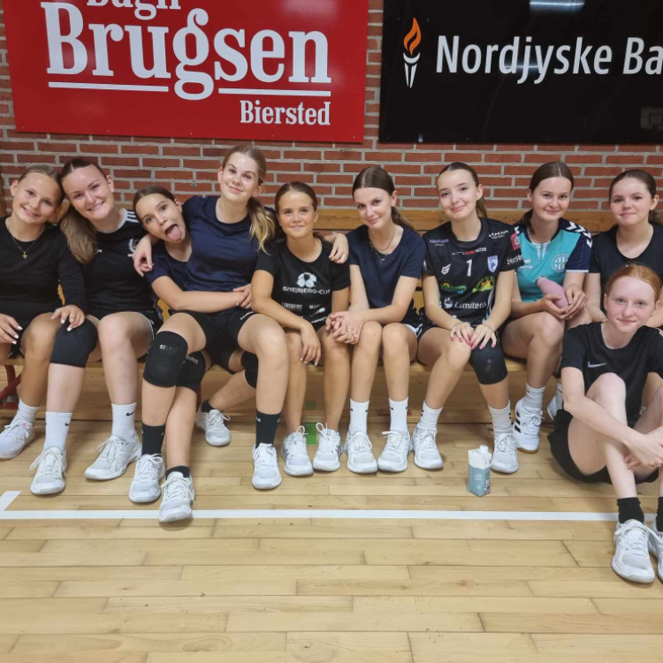 Håndbold - U15 Piger tryout image