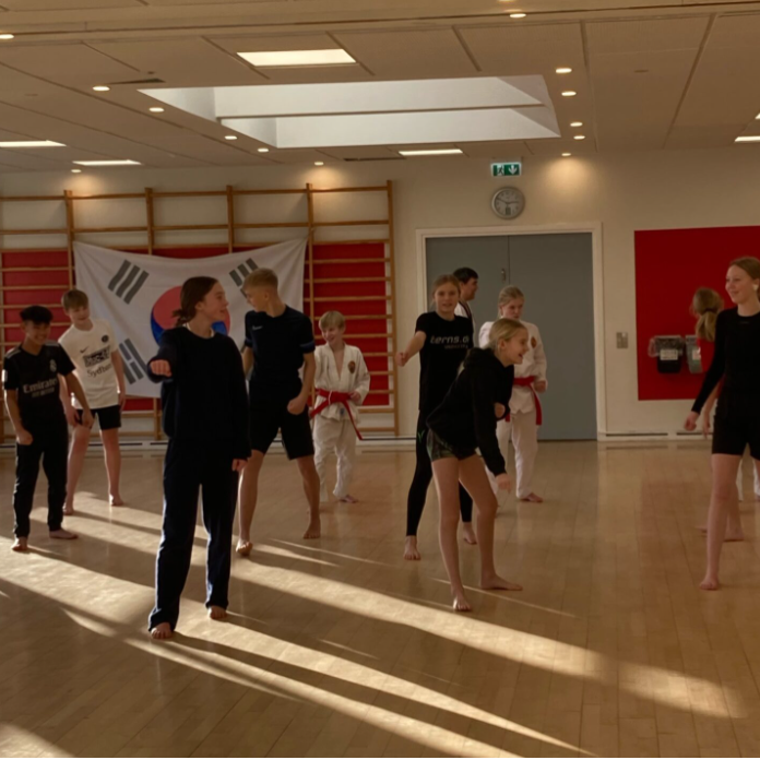 Børnetræning i Taekwondo (7-12 år) tryout image