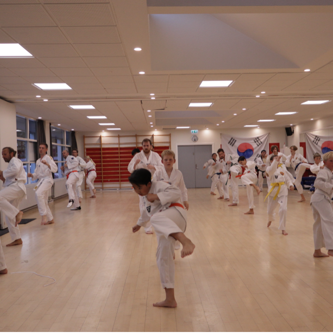 Børnetræning i Taekwondo (7-12 år) tryout image