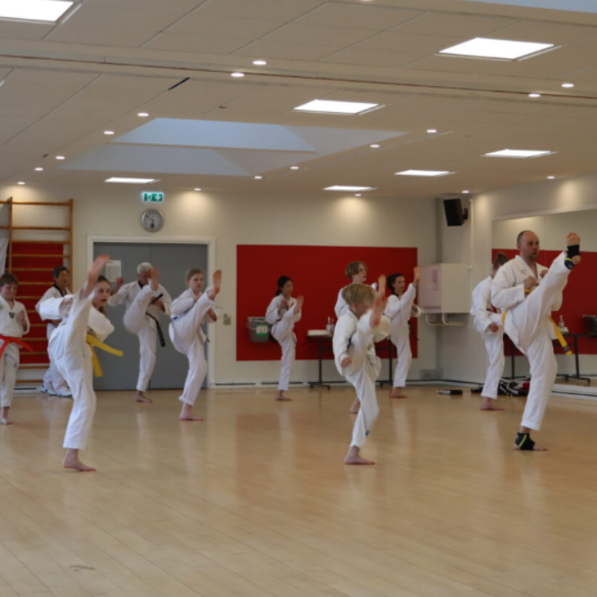 Voksenholdet og øvede børn/unge (10+ år) tryout image
