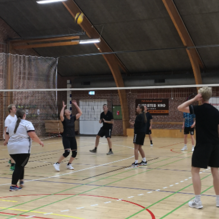 Volley mix hold tryout image