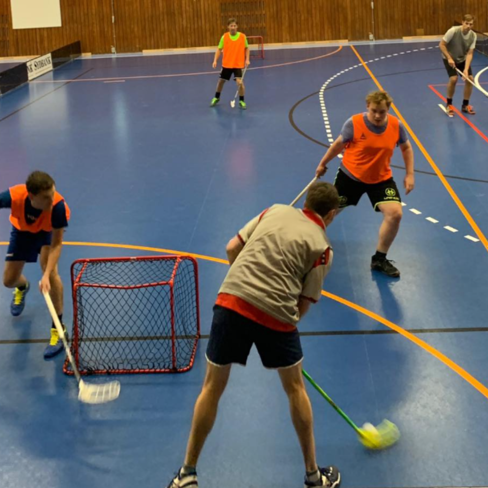 Mix floorball - begynder/let øvet (KBH N) tryout image