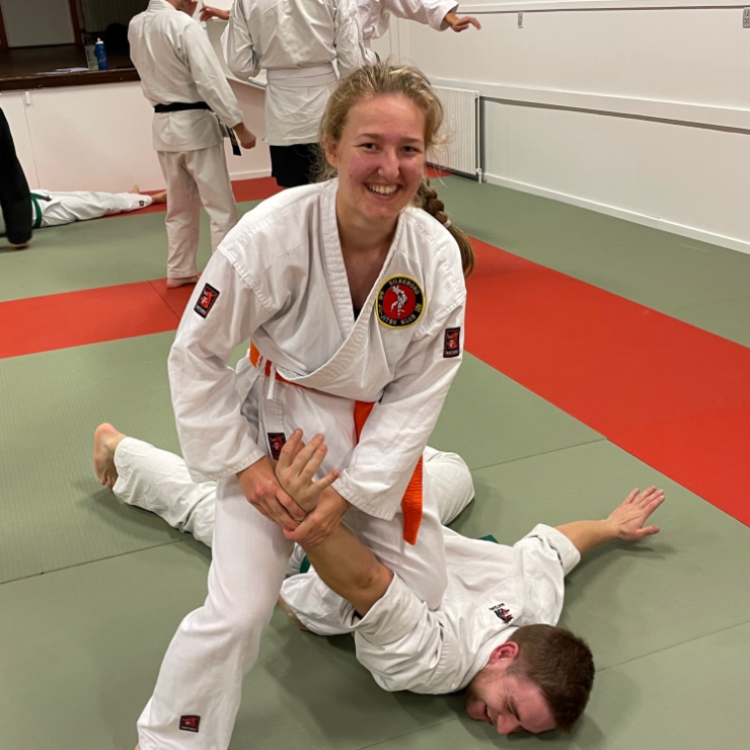 Jiu-Jitsu træning for voksne tryout image