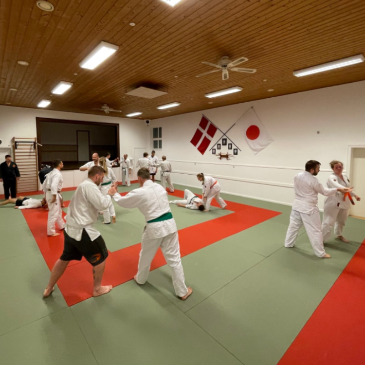 Jiu-Jitsu træning for voksne tryout image