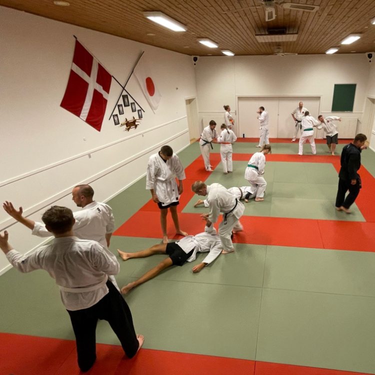 Jiu-Jitsu træning for voksne tryout image
